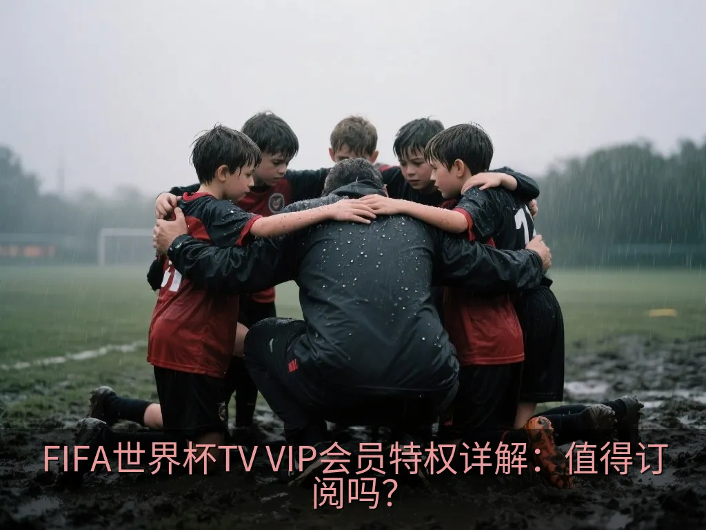 FIFA世界杯TV官方安全订阅与账户特权激活界面示意图